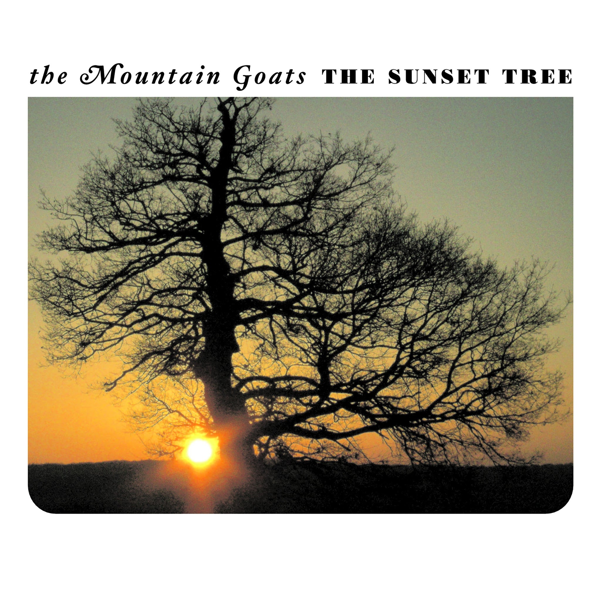 Mountain Goats, The: The Sunset Tree - 20th Anniversary Remaster (Coloured Vinyl LP)