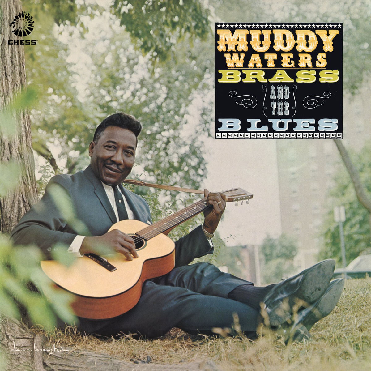 Waters, Muddy: Muddy, Brass & The Blues - Acoustic Sounds Series (Vinyl LP)