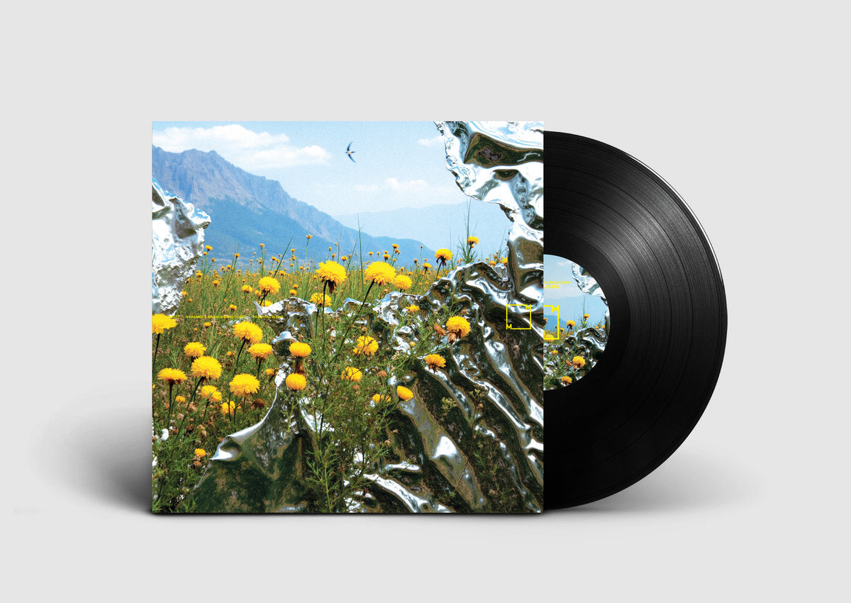 N Kramer & Magnus Bang Olsen: Patoral Blend (Vinyl LP)