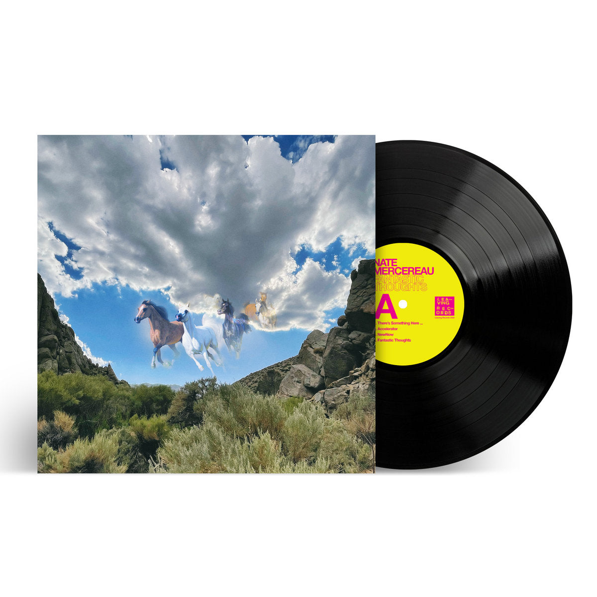Mercereau, Nate: Fantastic Thoughts (Vinyl LP)