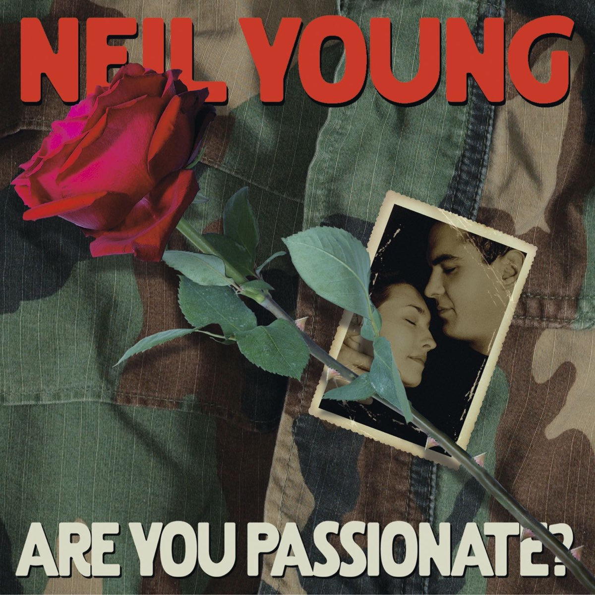 Young, Neil: Are You Passionate? (Used Vinyl 2xLP)