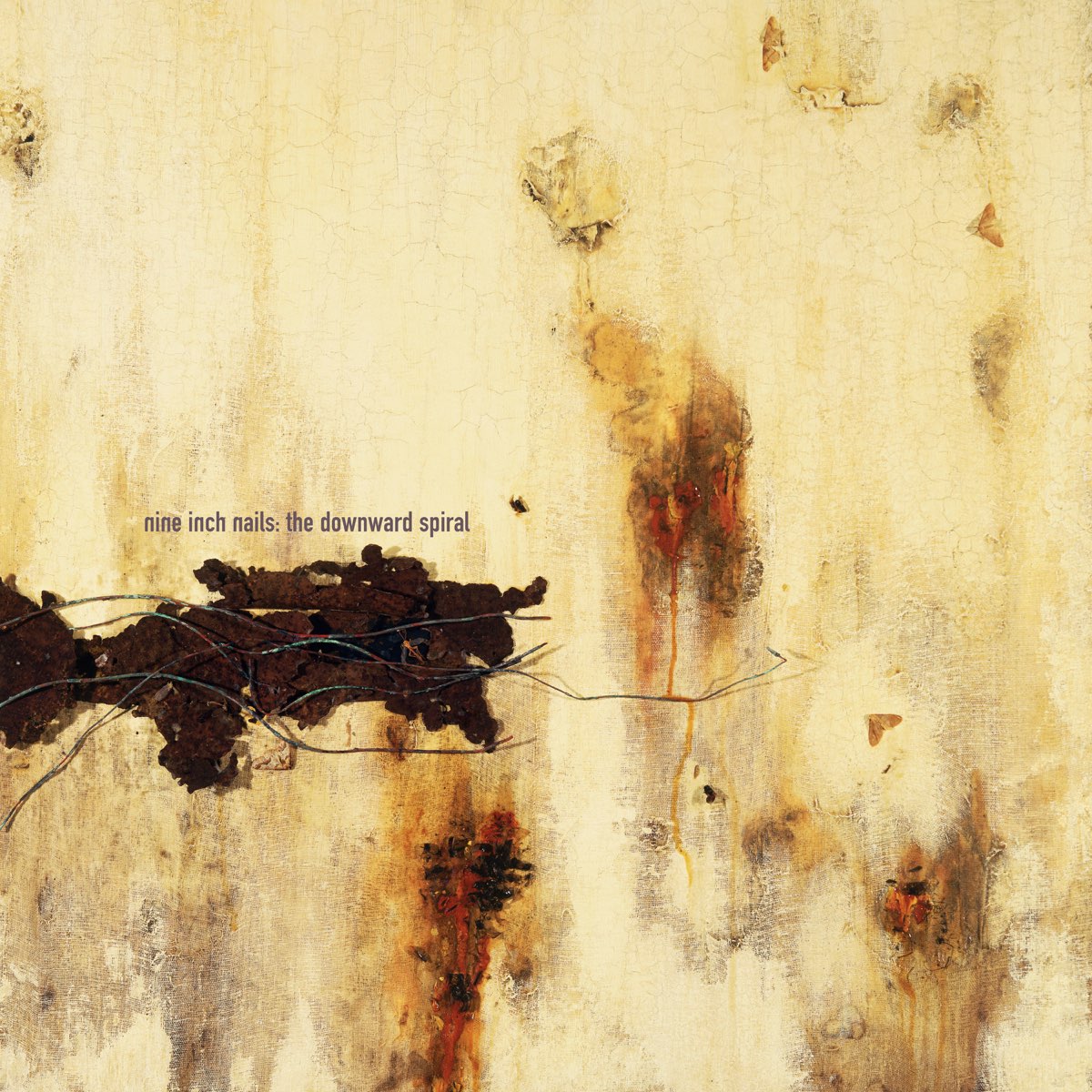 Nine Inch Nails: The Downward Spiral (CD)