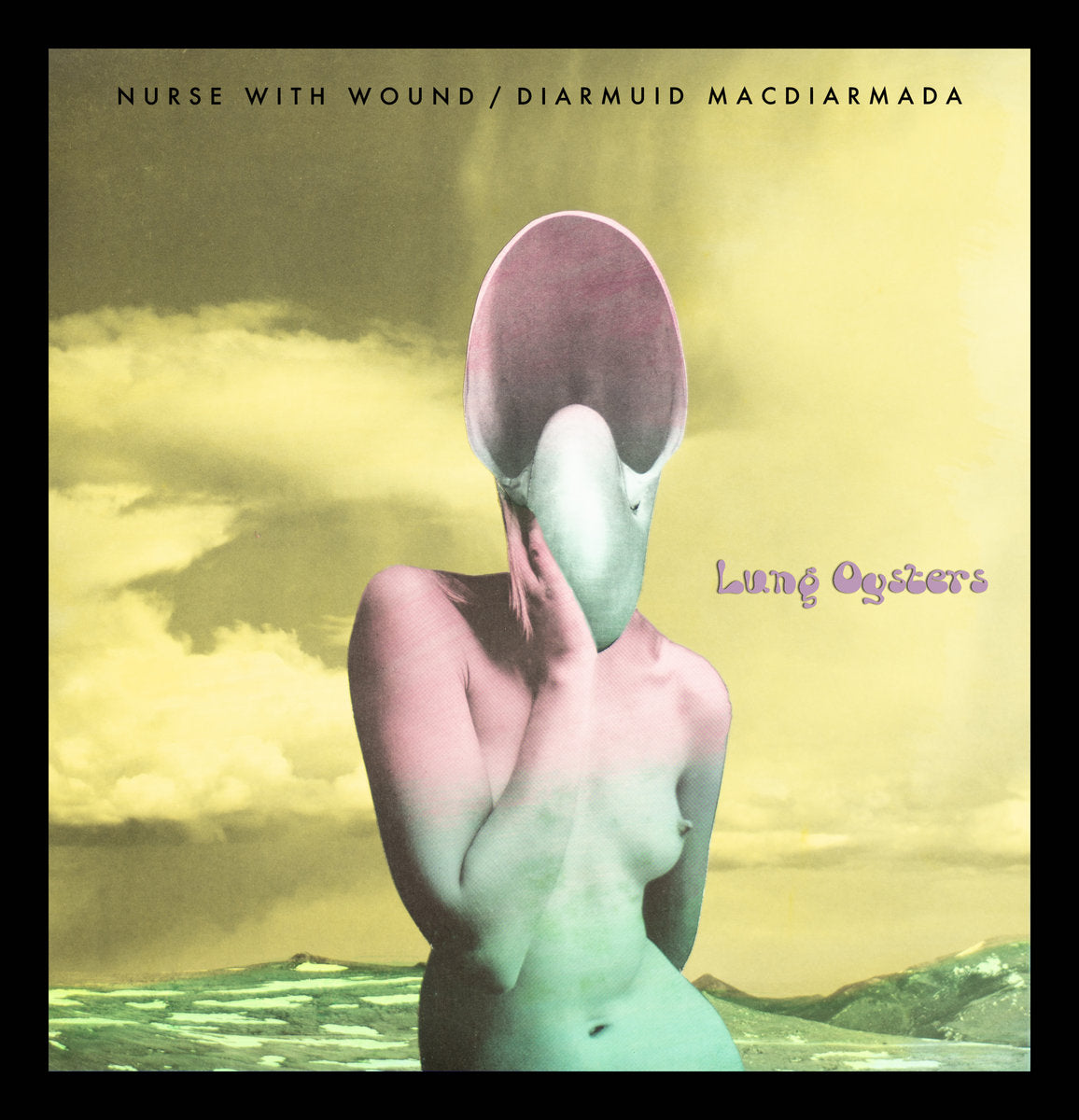 Nurse With Wound / Diarmuid MacDiarmada: Lung Oysters (Vinyl LP)