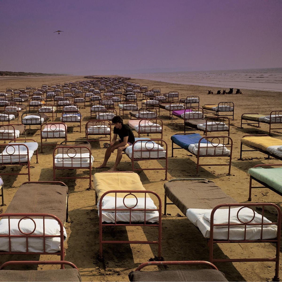 Pink Floyd: A Momentary Lapse Of Reason (Vinyl LP)
