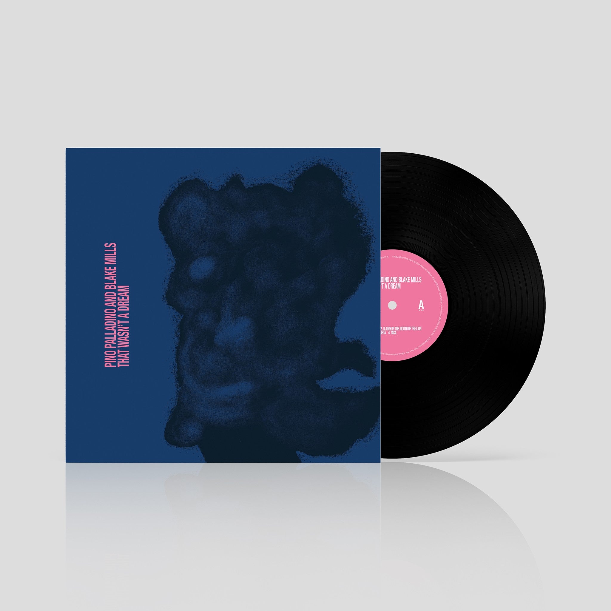 Palladino, Pino & Blake Mills: That Wasn't A Dream (Vinyl LP)