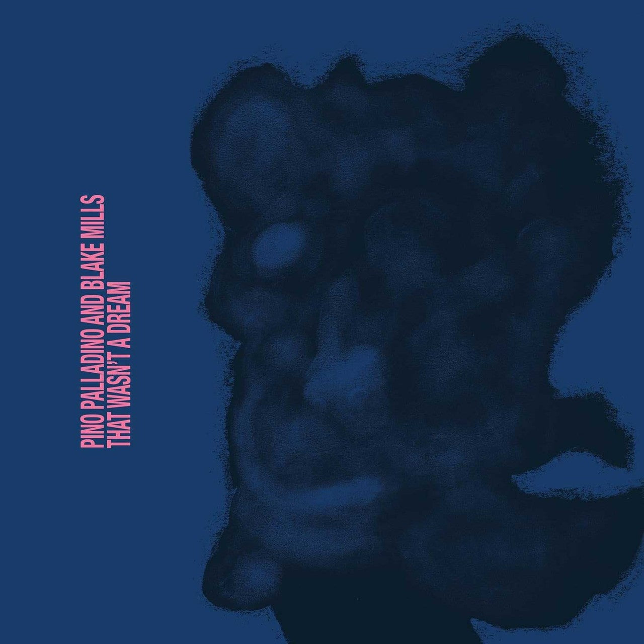 Palladino, Pino & Blake Mills: That Wasn't A Dream (Vinyl LP)