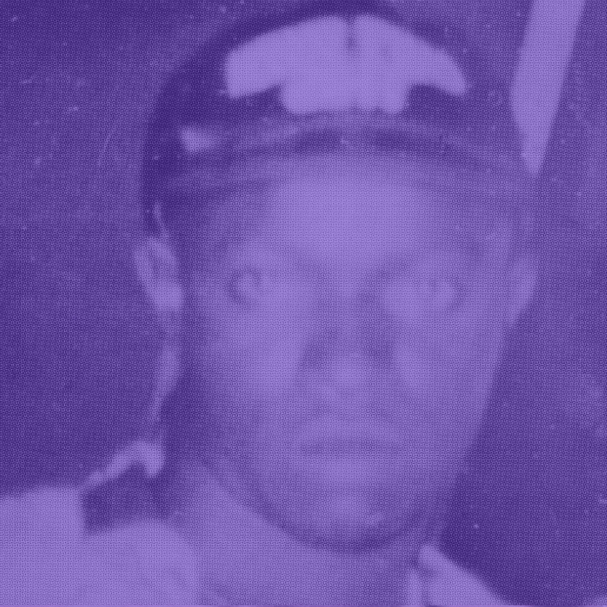 Prince Jazzbo & Mad Cobra: Goldmine - Dubbed Out By Prince Jazzbo (Vinyl LP)