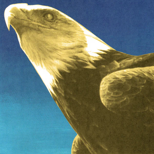 Pre-Order 25/09/26 - Protomartyr: Hotel Usona (Vinyl LP)