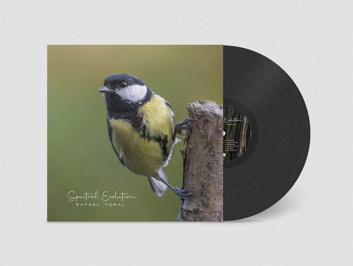 Toral, Rafael: Spectral Evolution (Vinyl LP)