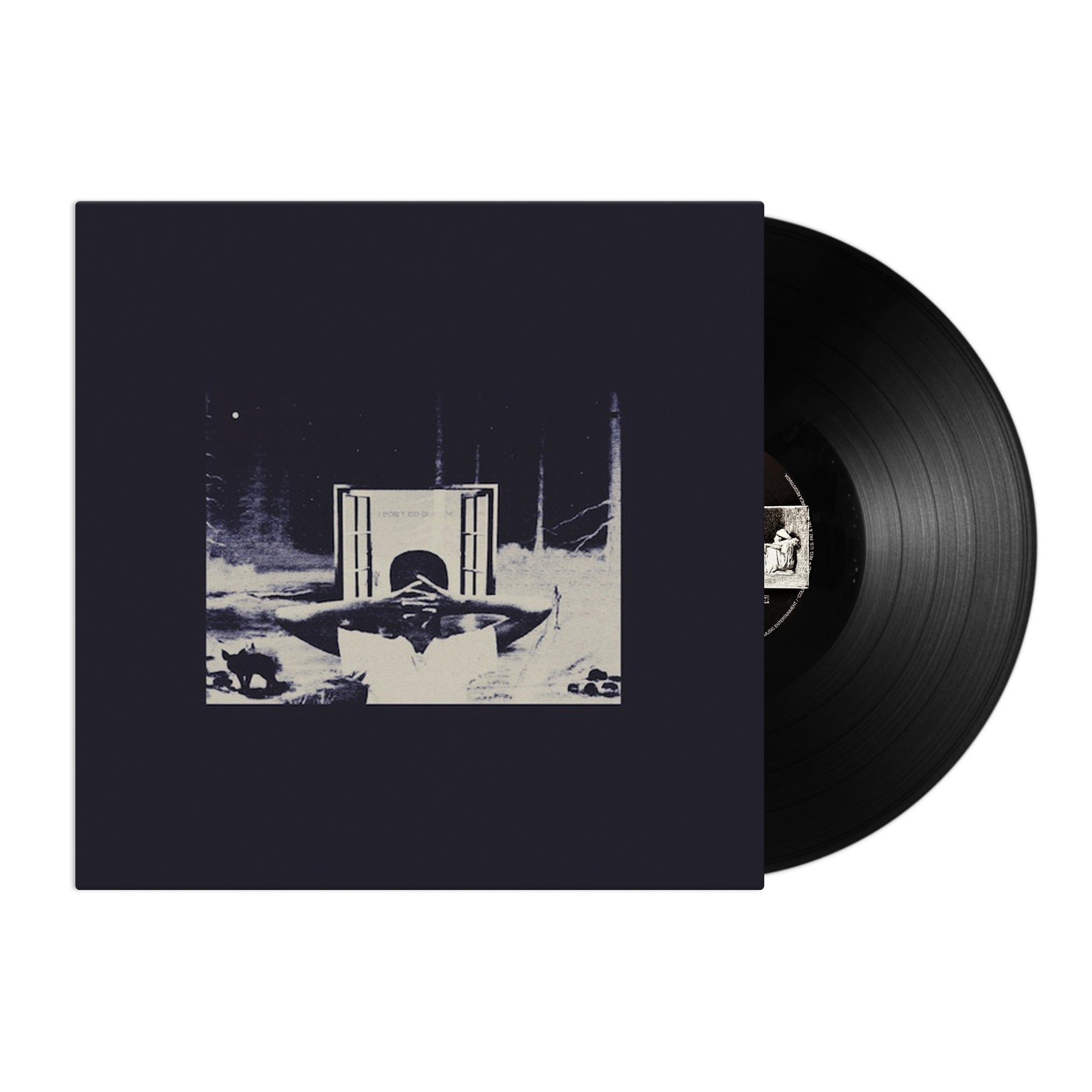 Earl Sweatshirt: I Don't Like Shit, I Don't Go Outside (Vinyl LP)