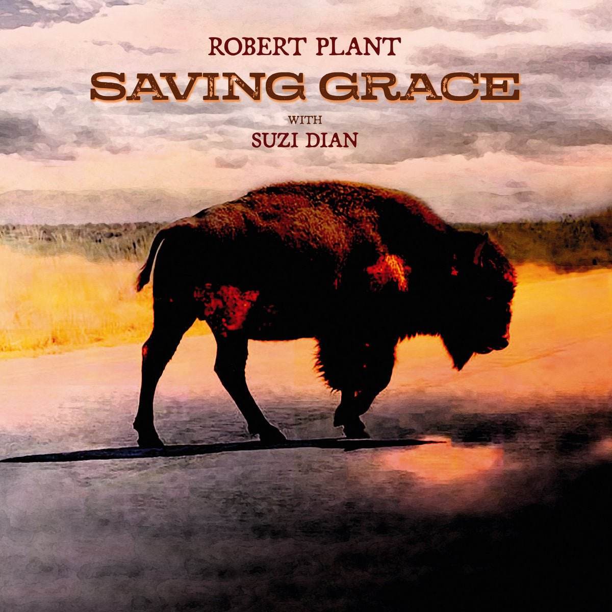 Plant, Robert With Suzi Dian: Saving Grace (Vinyl LP)