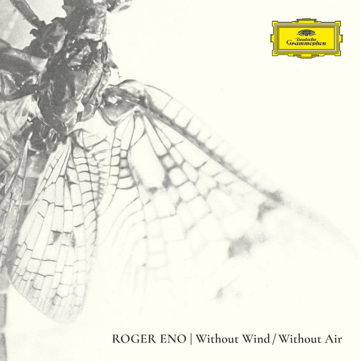 Eno, Roger: Without Wind / Without Air (Vinyl LP)