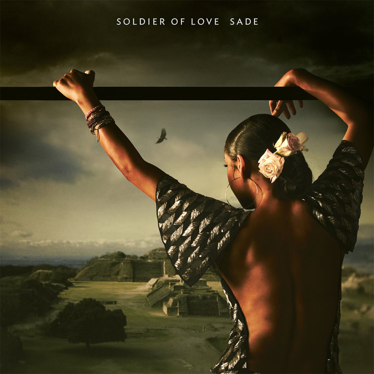 Sade: Soldier Of Love (Vinyl LP)