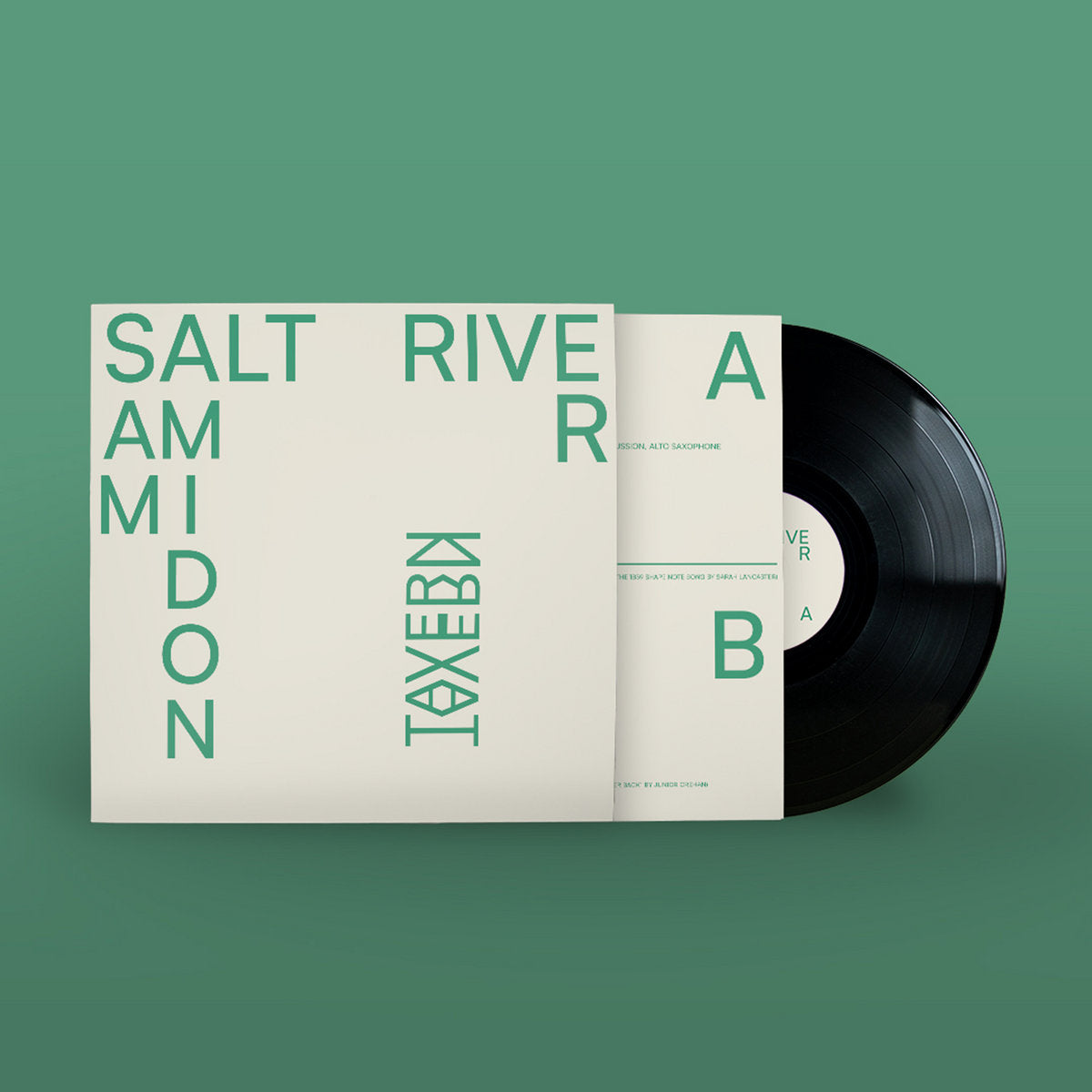 Amidon, Sam: Salt River (Vinyl LP)