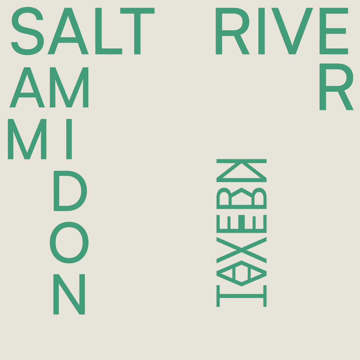 Amidon, Sam: Salt River (Vinyl LP)