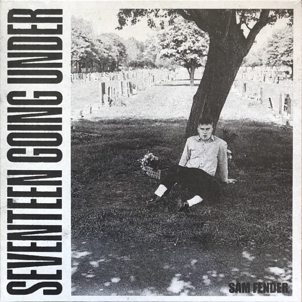 Fender, Sam: Seventeen Going Under (Used Vinyl LP)