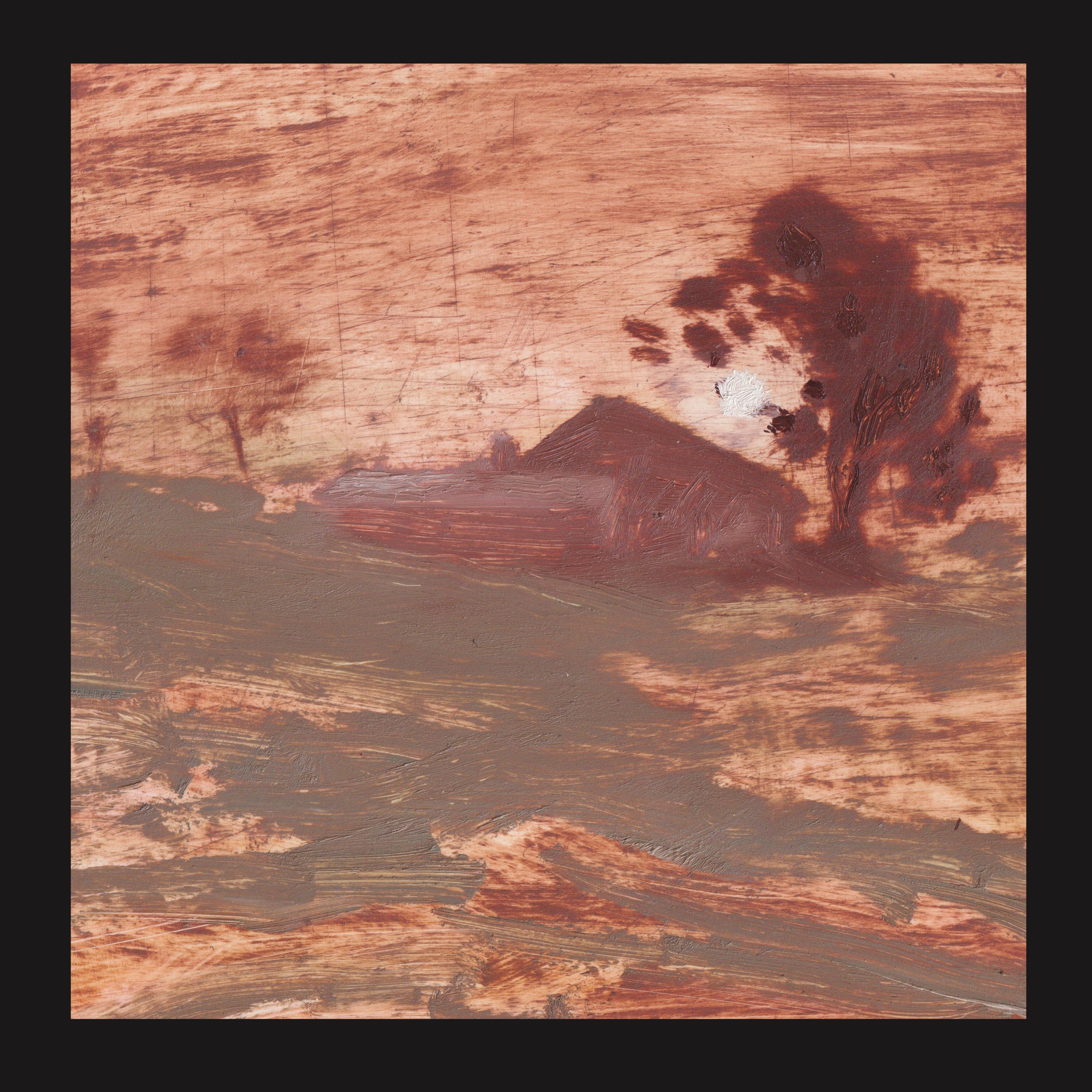 Pre-Order 03/04/26 - Shits, The: Diet Of Worms (Vinyl LP)