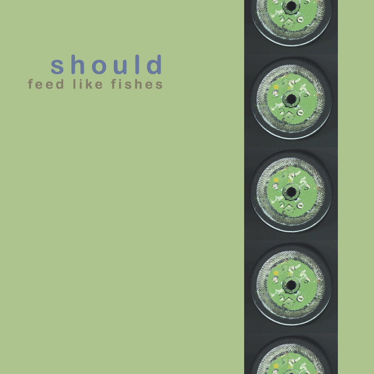 Should: Feed Like Fishes (CD)