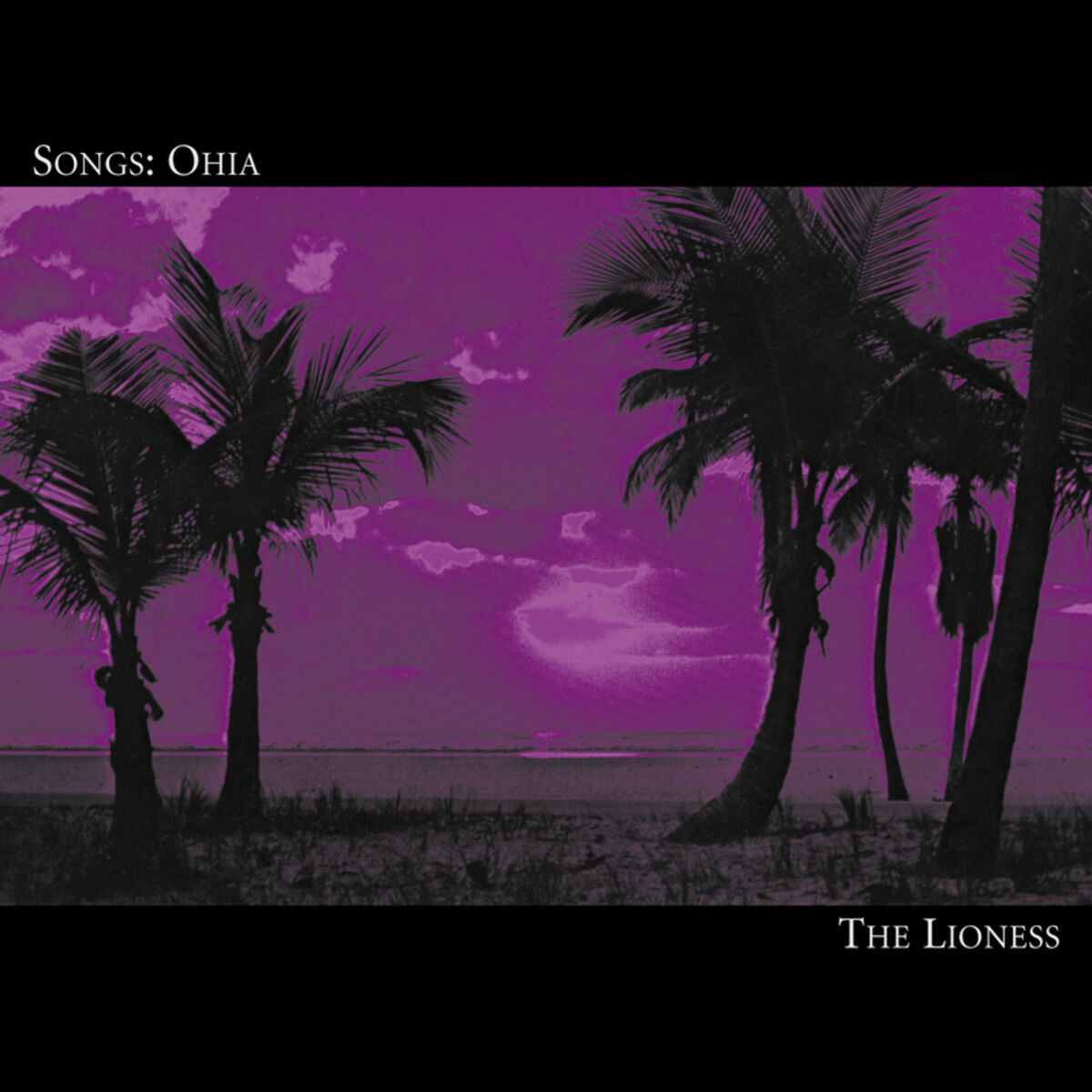 Songs: Ohia: The Lioness (Vinyl LP)