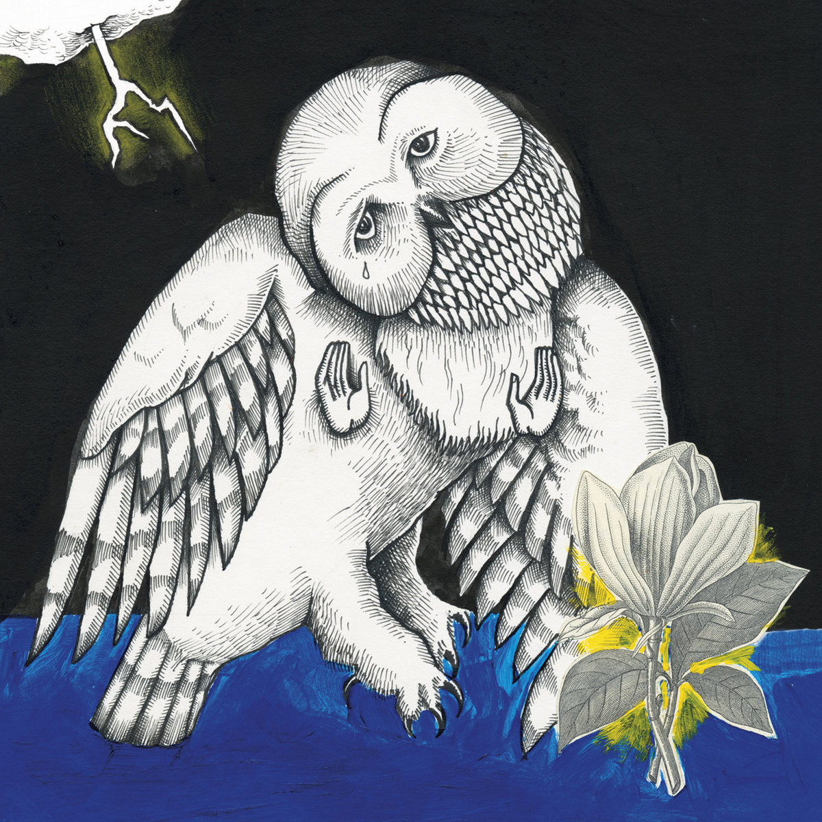 Songs: Ohia: The Magnolia Electric Co (Vinyl 2xLP)