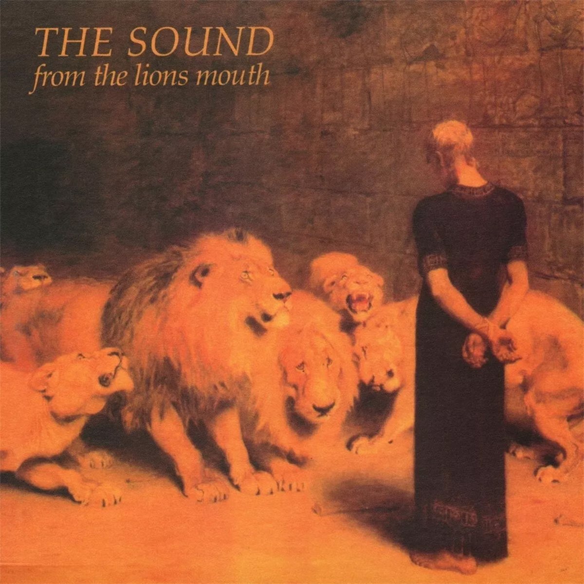 Sound, The: From The Lions Mouth (CD)