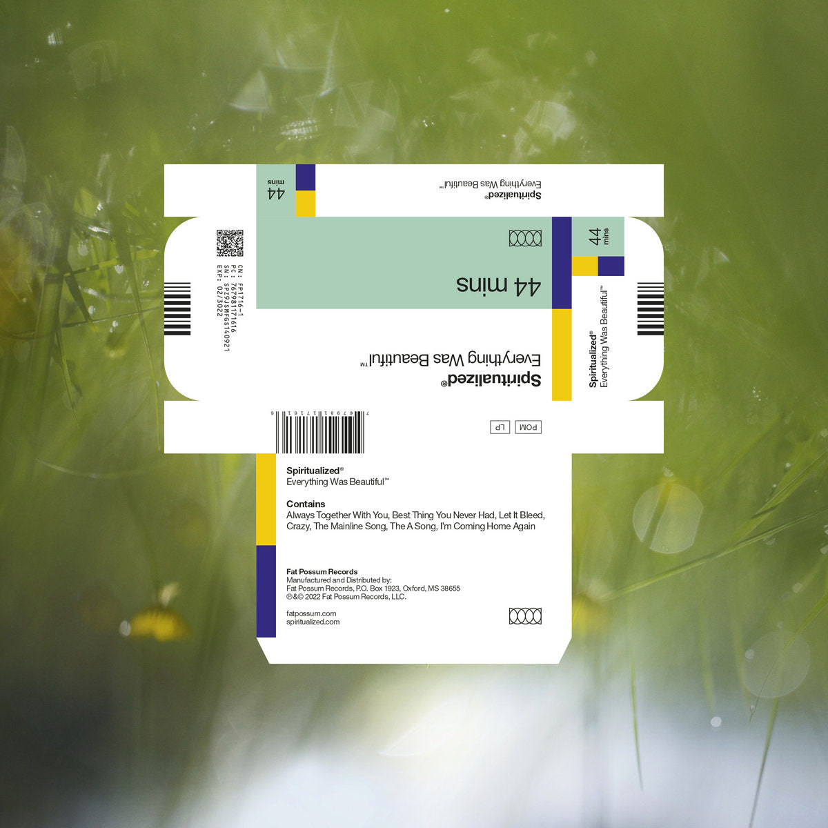 Spiritualized: Everything Was Beautiful (Vinyl LP)