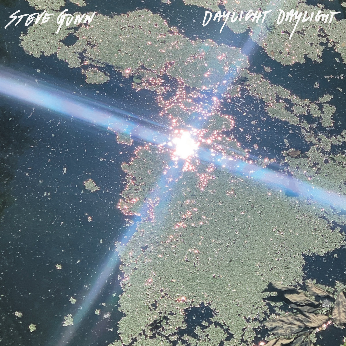 Gunn, Steve: Daylight Daylight (CD)