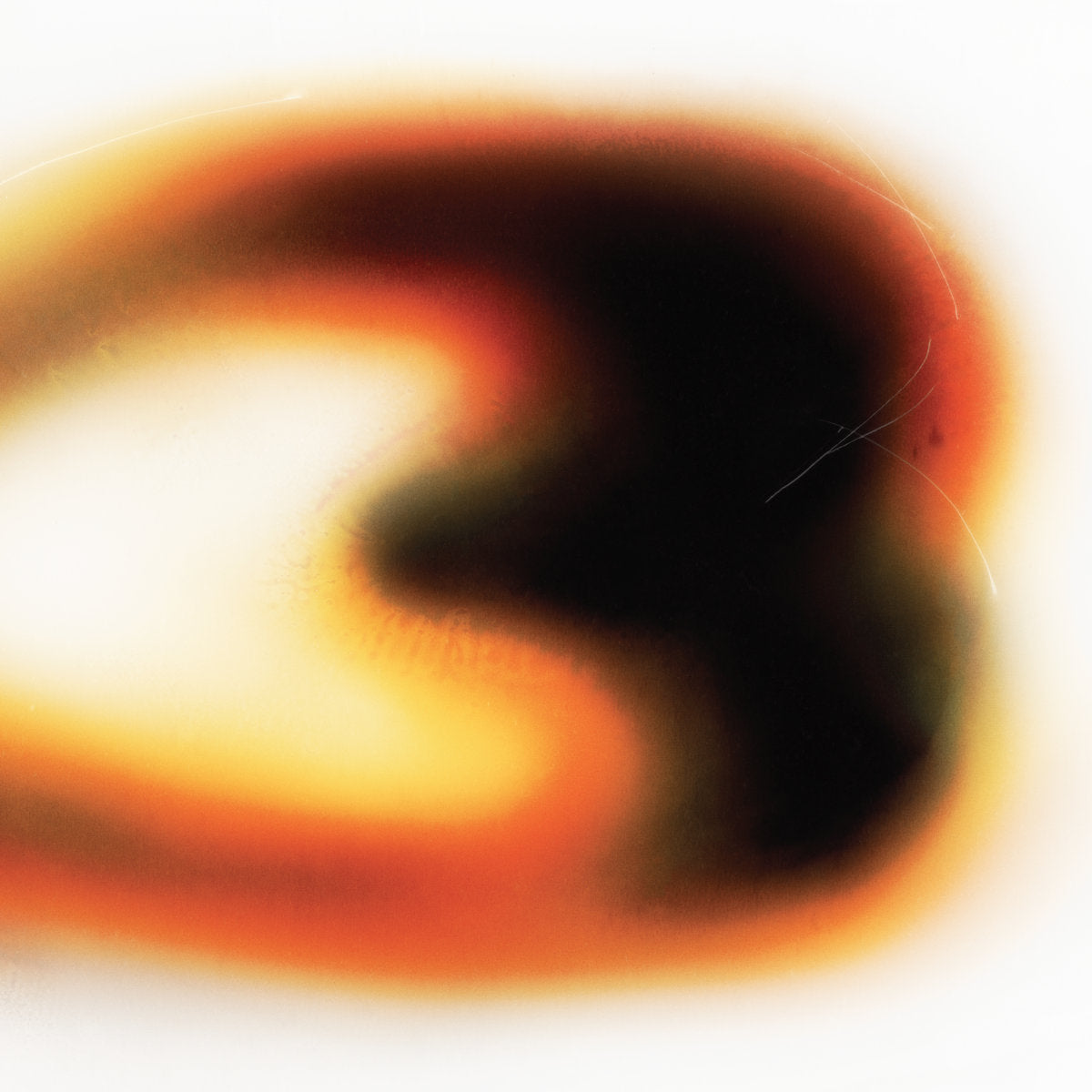 Still House Plants: If I Don't Make It, I Love U (Vinyl LP)