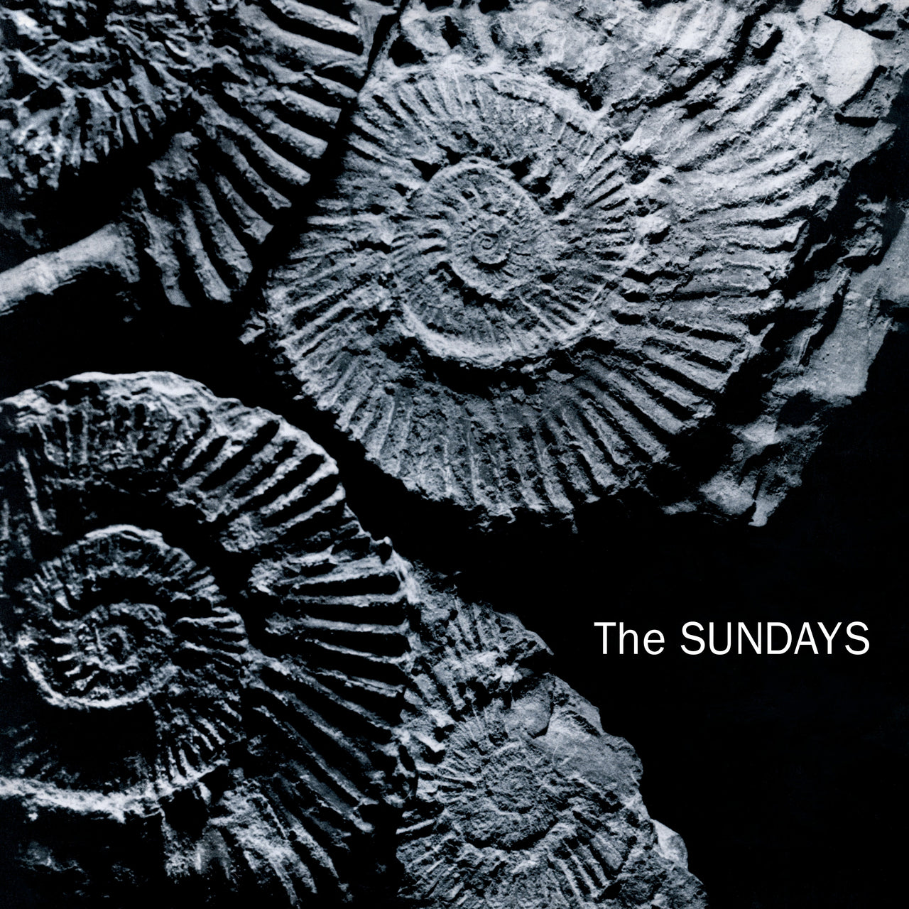Sundays, The: Reading, Writing And Arithmetic - 2026 Edition (CD)