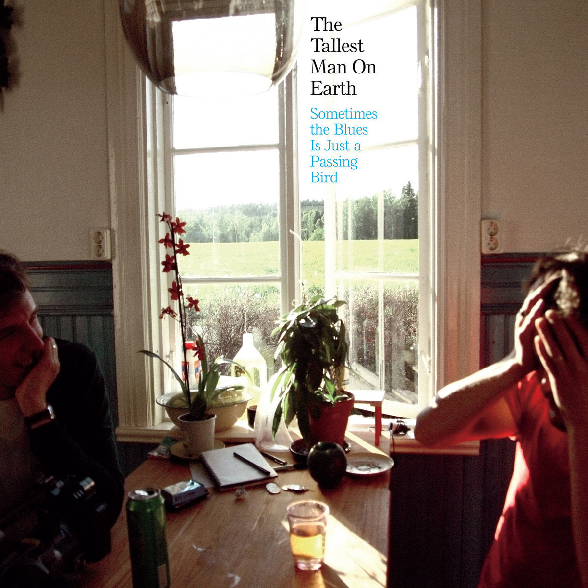 Pre-Order 18/09/26 - Tallest Man On Earth, The: Sometimes The Blues Is Just A Passing Bird (ReVINYL Edition) (Vinyl LP)