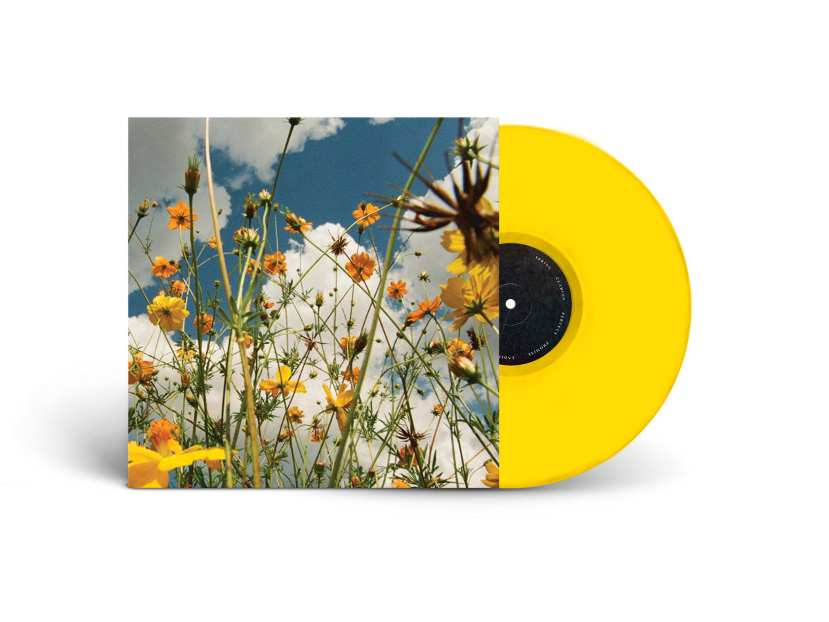Pre-Order 26/06/26 - Tasha: You Are Spring! (Coloured Vinyl LP)