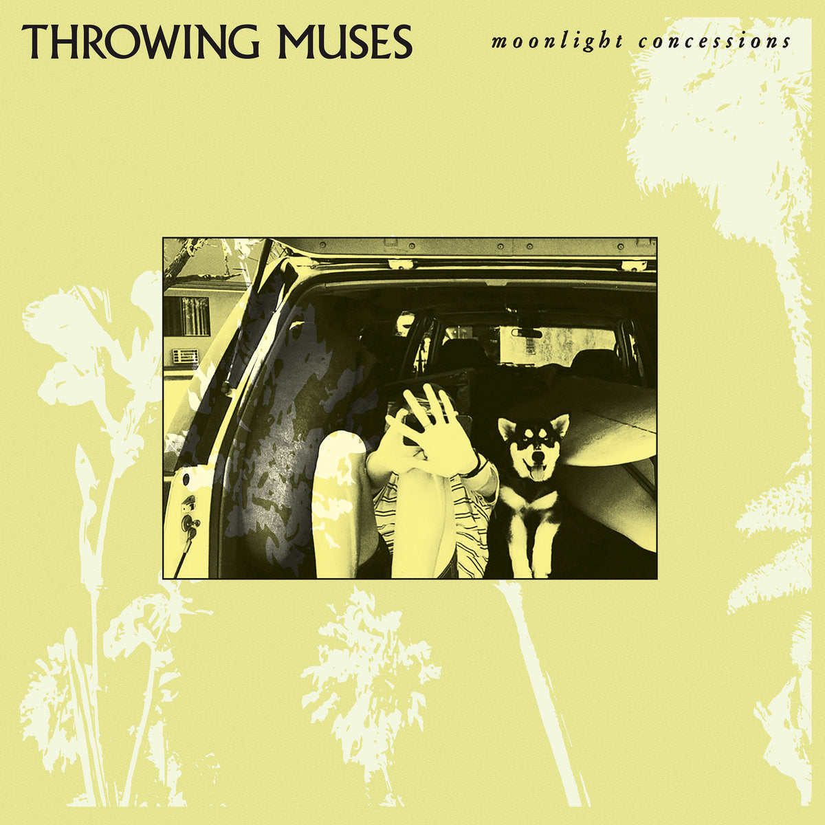 Throwing Muses: Moonlight Concessions (Vinyl LP)