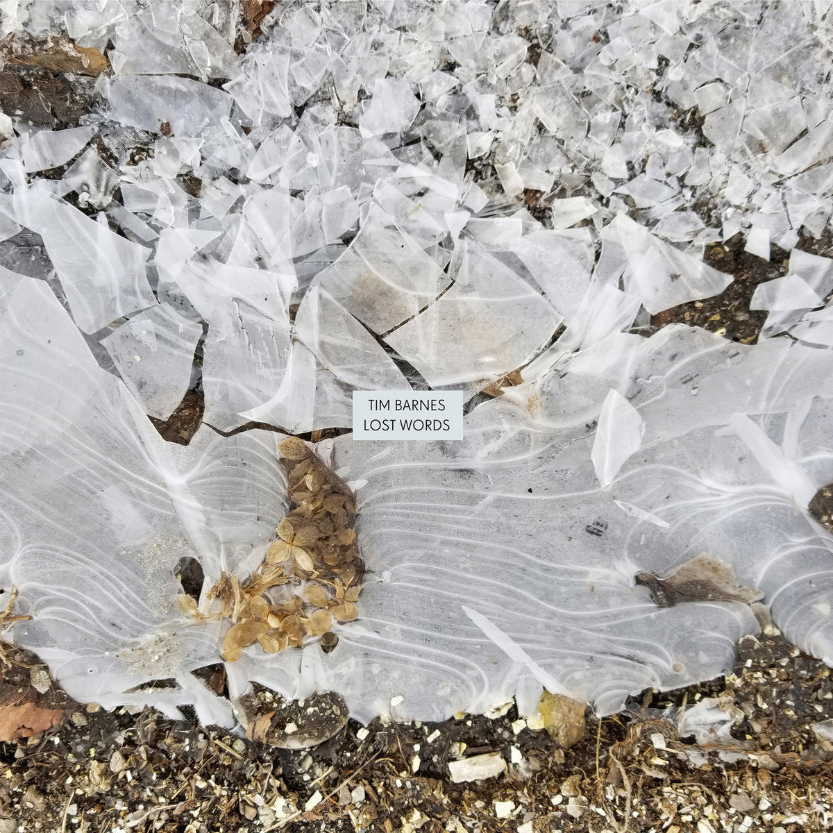 Barnes, Tim: Lost Words (Vinyl LP)