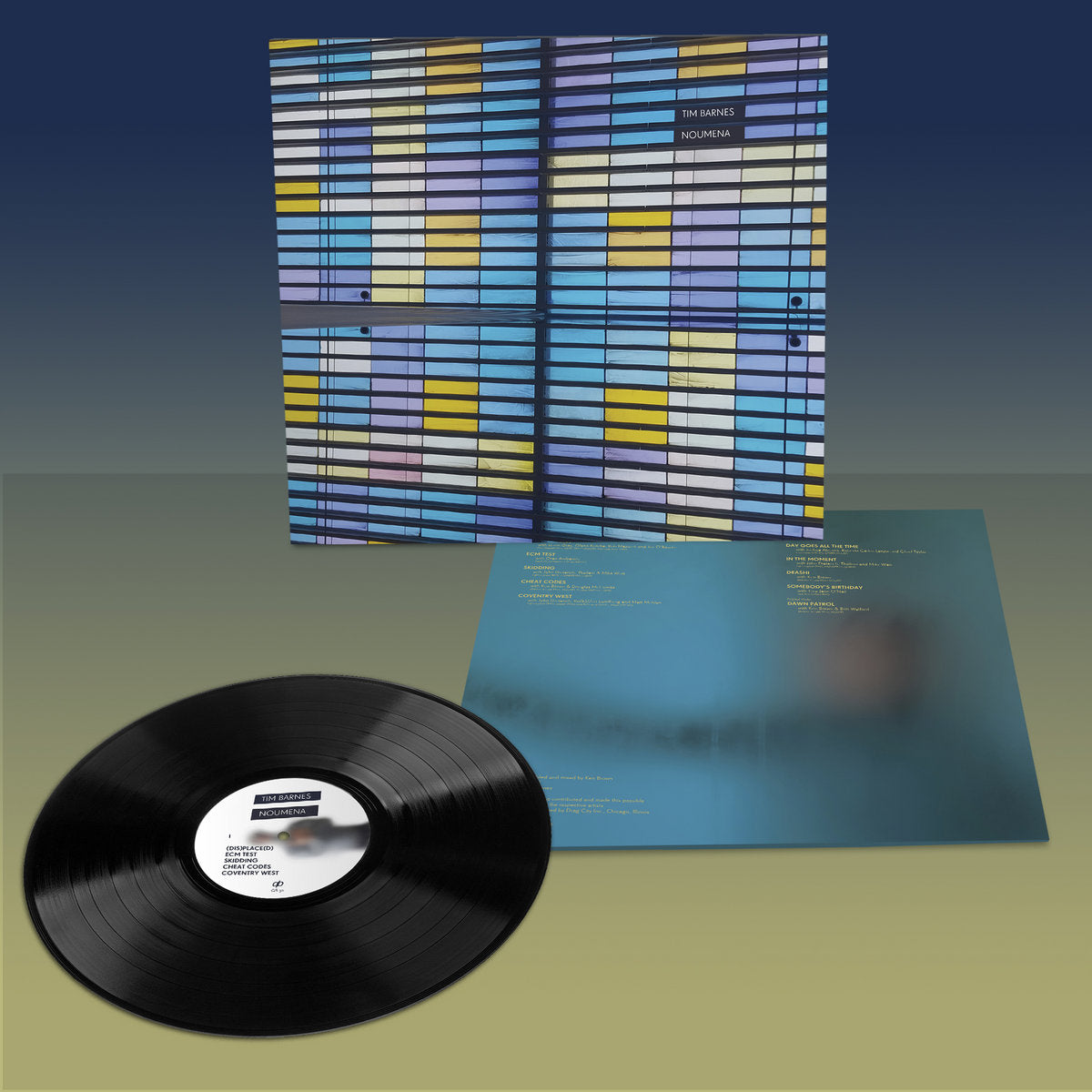 Barnes, Tim: Noumena (Vinyl LP)