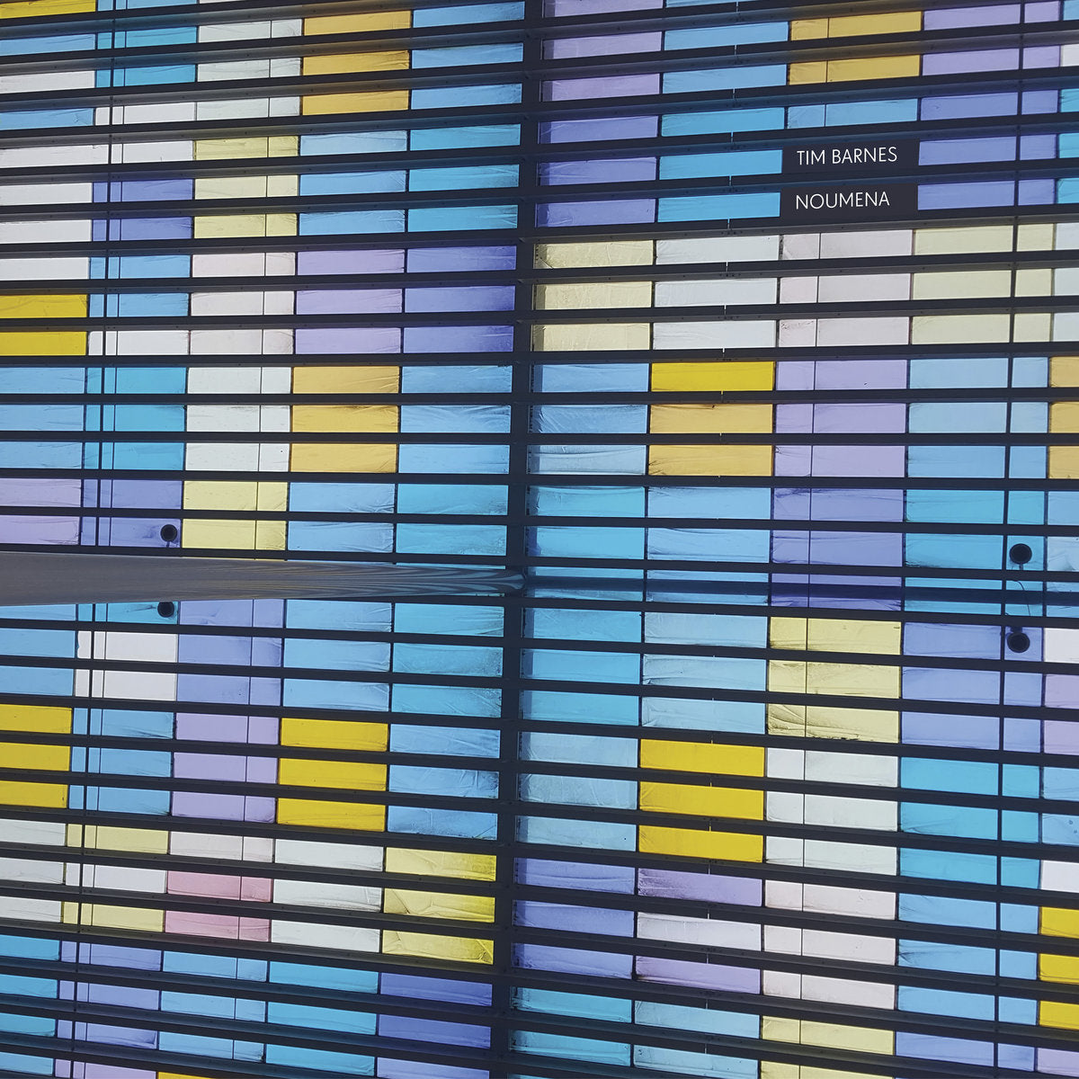 Barnes, Tim: Noumena (Vinyl LP)