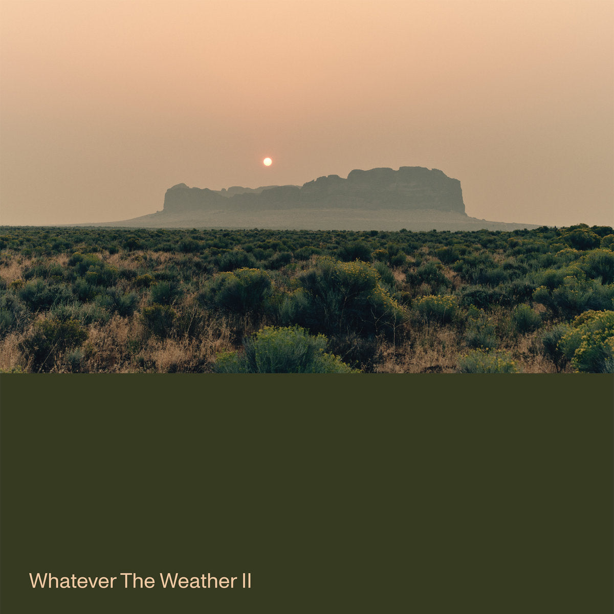 Whatever The Weather: Whatever The Weather II (Coloured Vinyl LP)