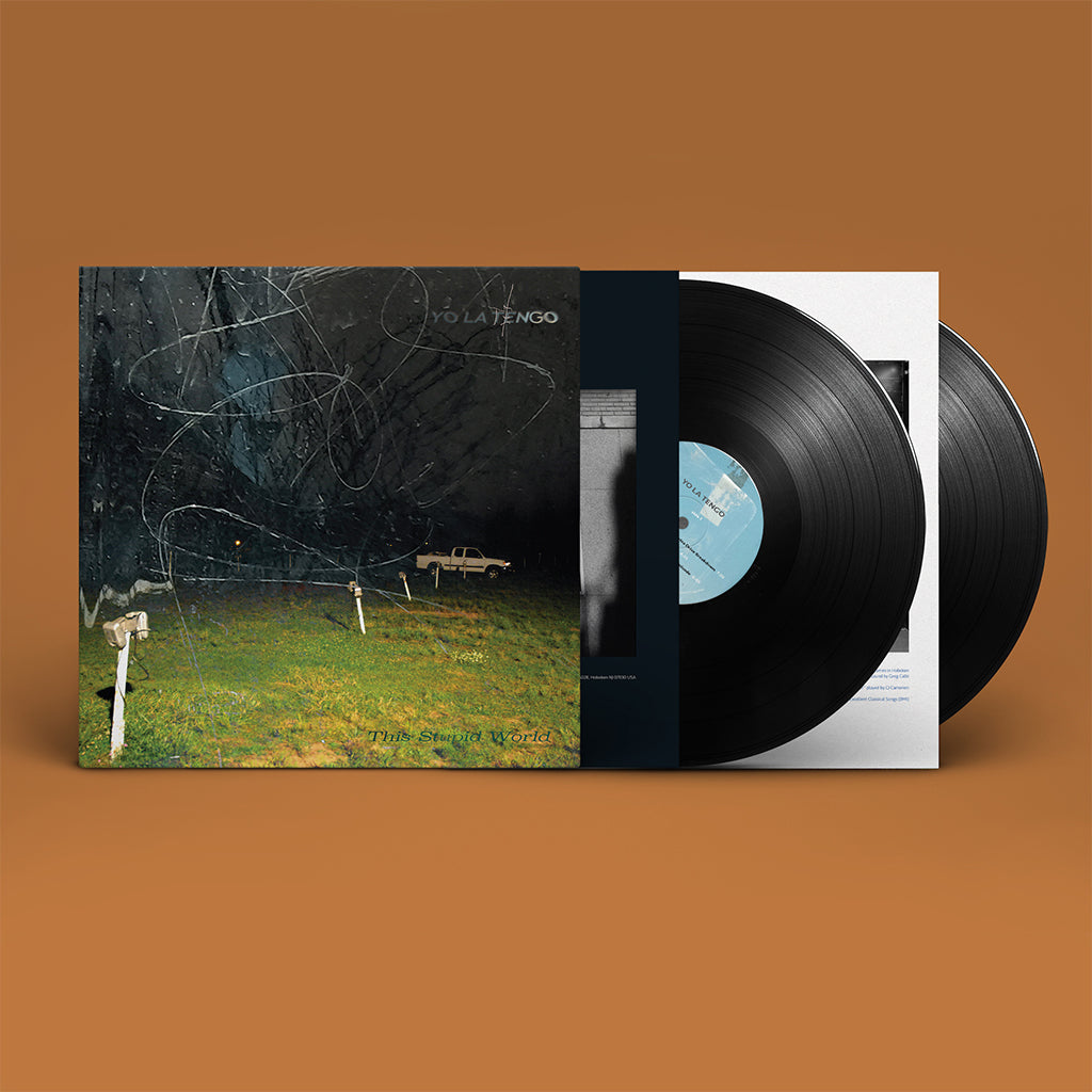 Yo La Tengo: This Stupid World (Coloured Vinyl 2xLP)