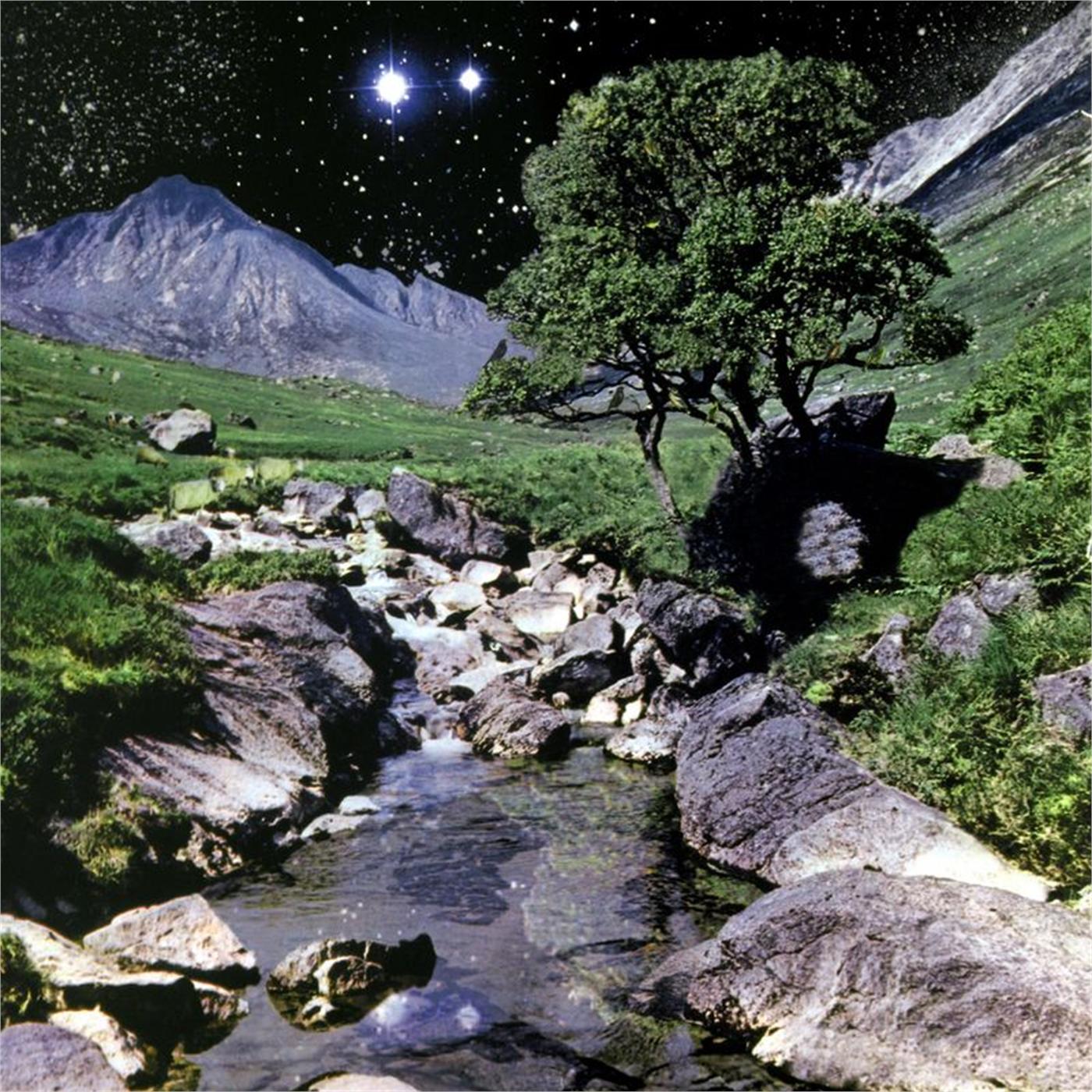 Beta Band, The: The Beta Band (Vinyl 2xLP)