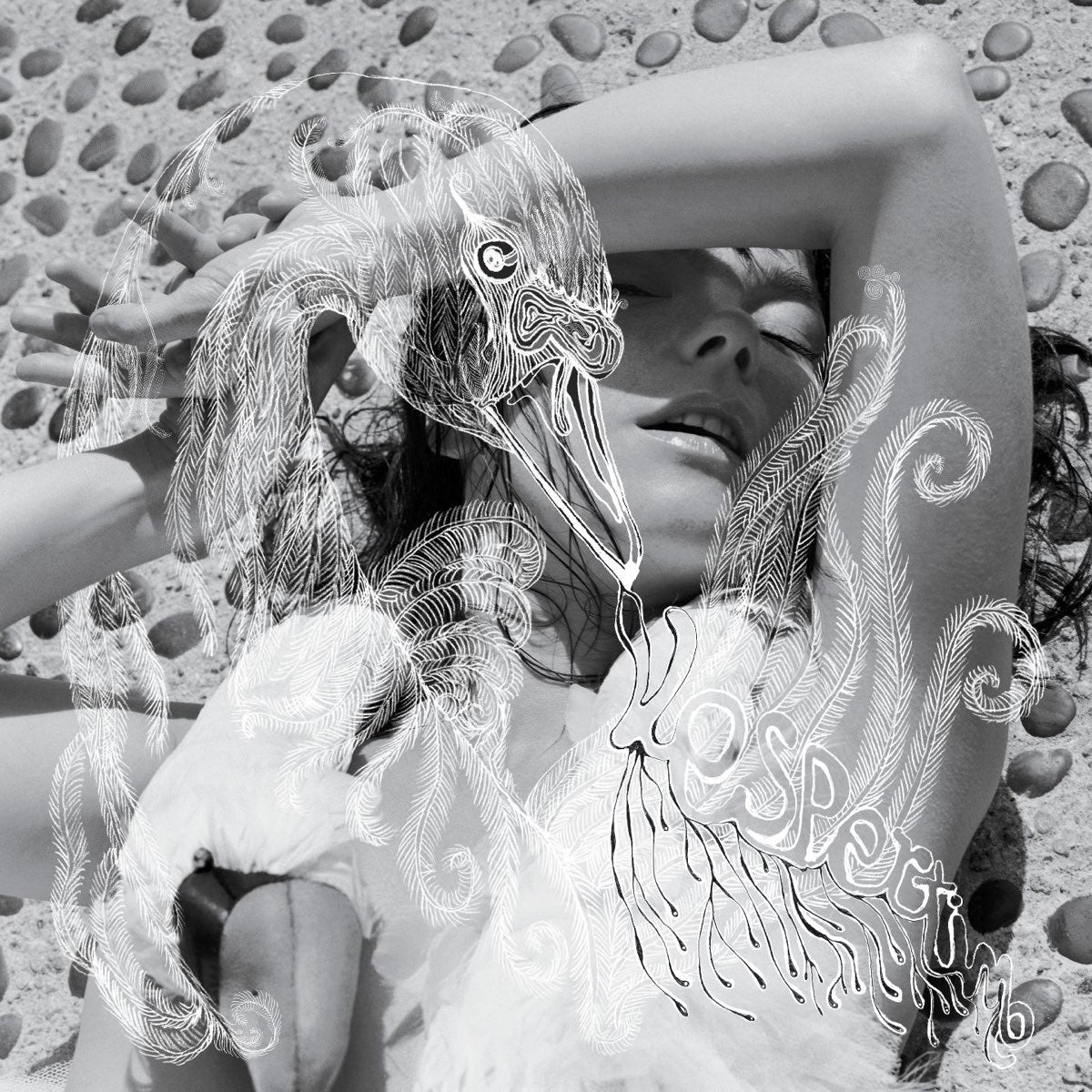 Björk: Vespertine (CD)