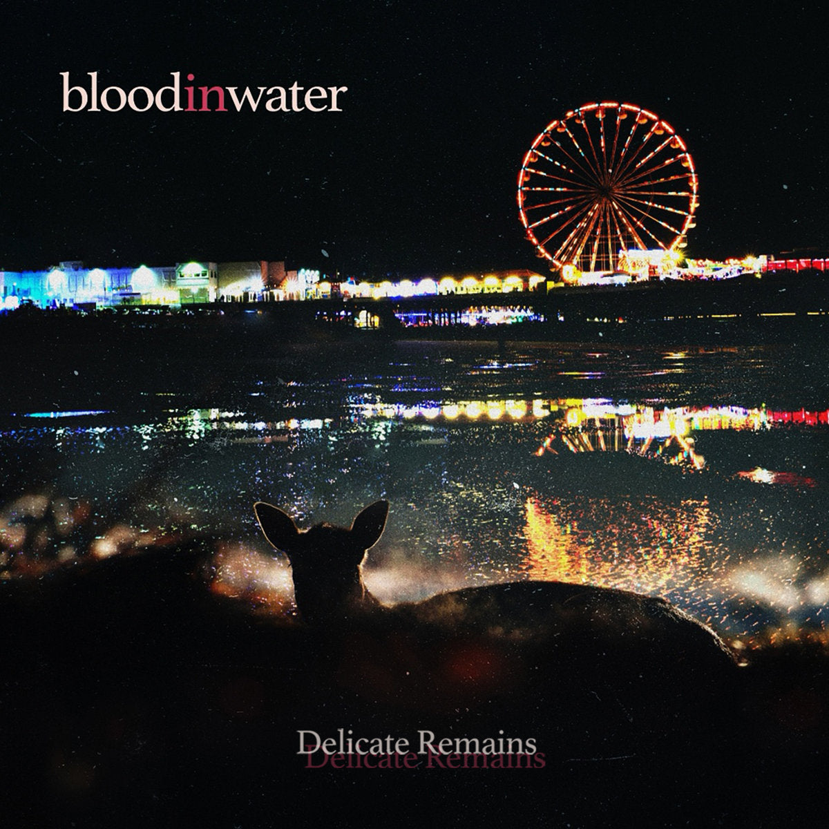 bloodinwater: Delicate Remains (Vinyl LP)