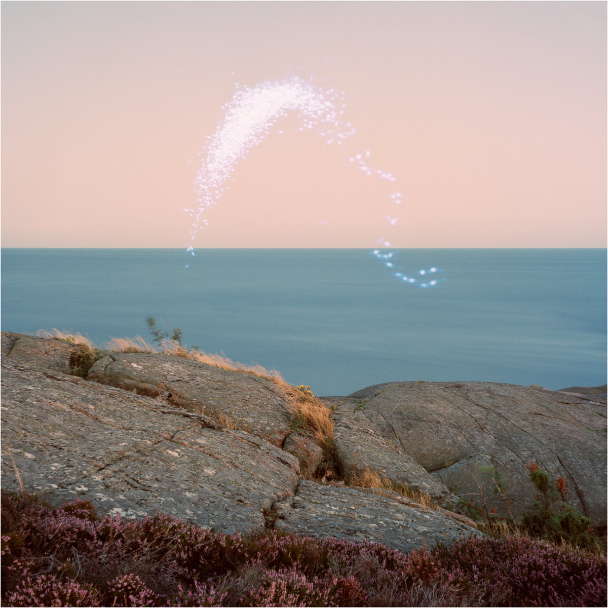 Jenkins, Cassandra: An Overview On Phenomenal Nature (Coloured Vinyl LP)