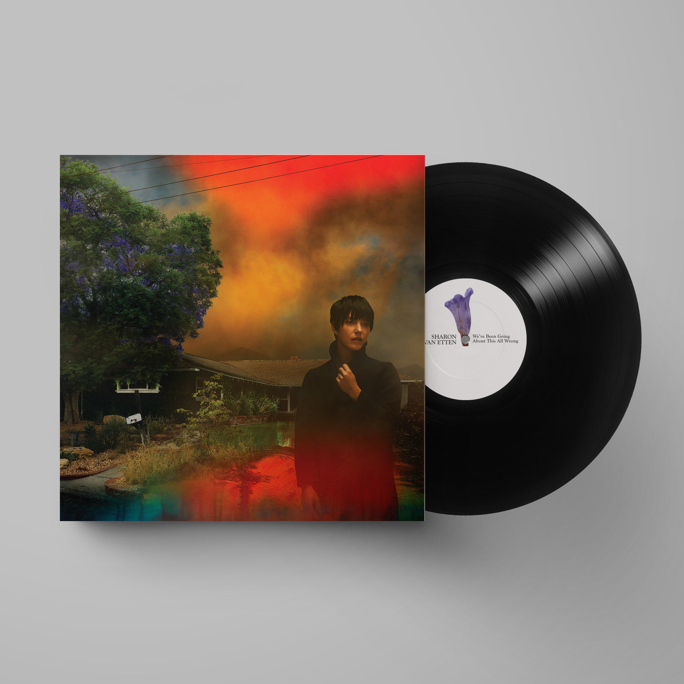 Van Etten, Sharon: We've Been Going About This All Wrong (Vinyl LP)