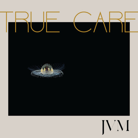 McMorrow, James Vincent: True Care (Vinyl LP)