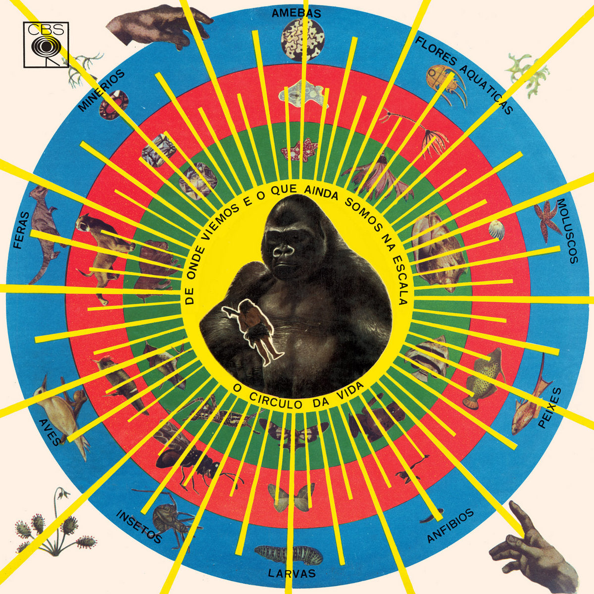 Pedro Santo: Krishnanda (Vinyl LP)