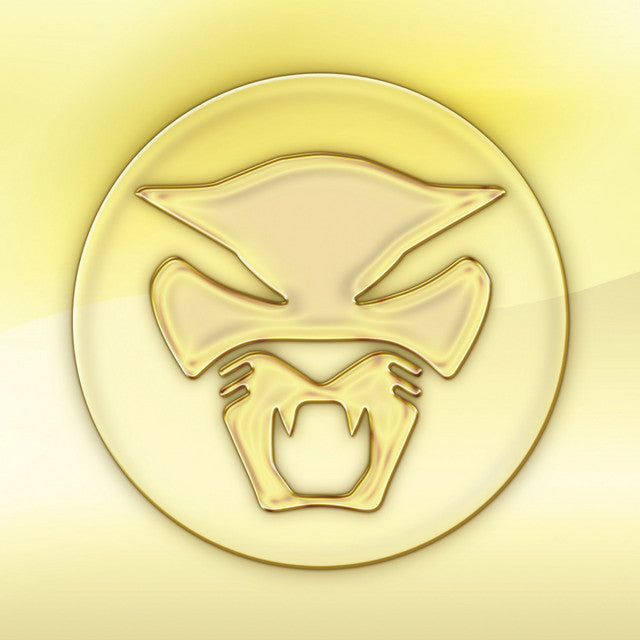 Thundercat: The Golden Age Of Apocalypse (Vinyl LP)