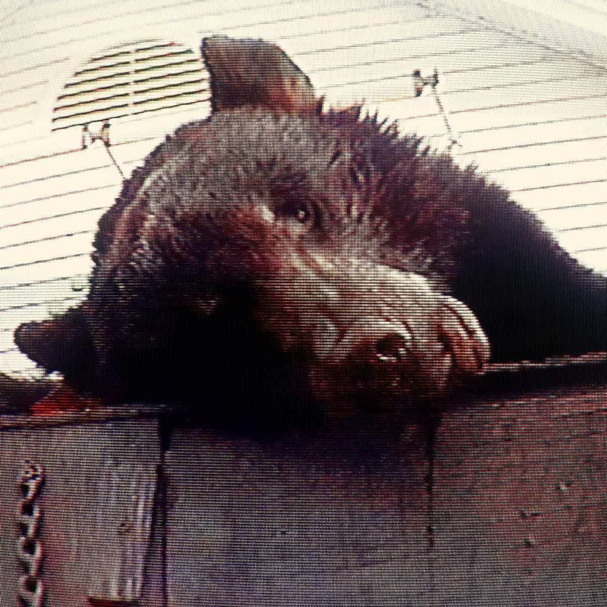 Truck Violence: Violence (Vinyl LP)