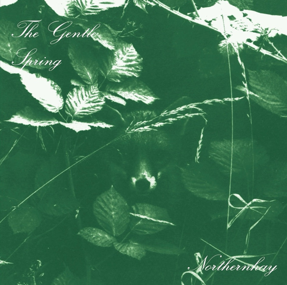 The Gentle Spring - Northernhay