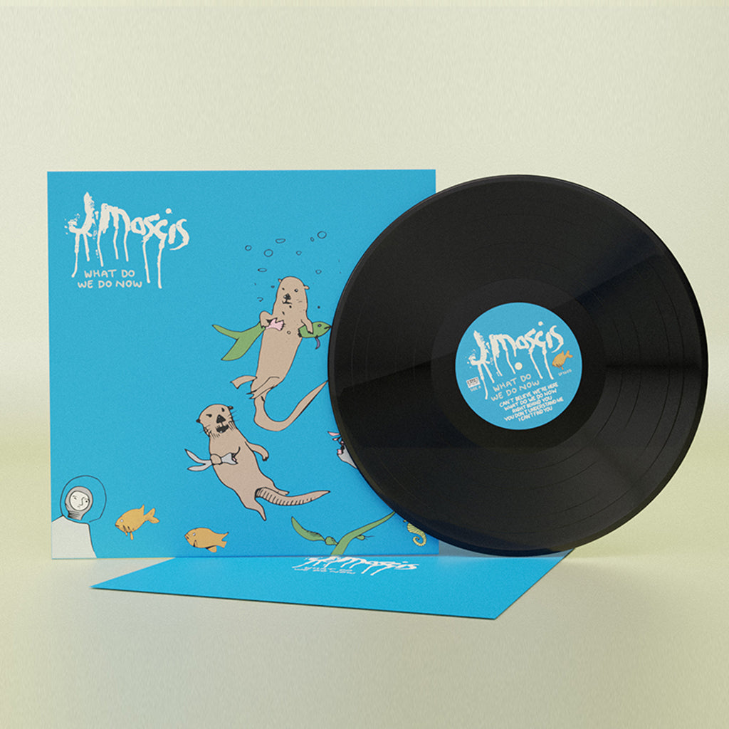 Mascis, J: What Do We Do Now (Vinyl LP)