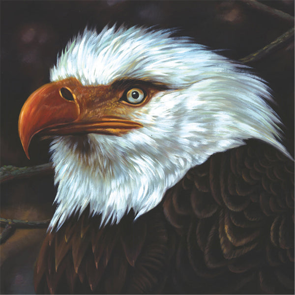 Mogwai: The Hawk Is Howling (Coloured Vinyl 2xLP)