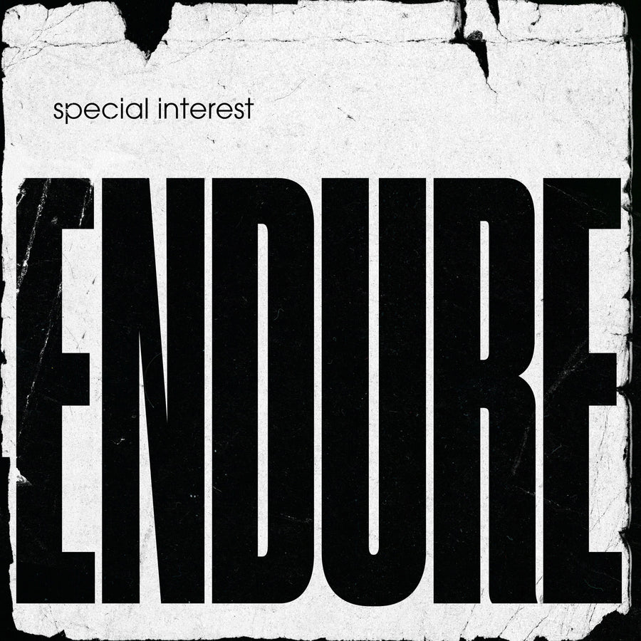 Special Interest: Endure (Vinyl LP)